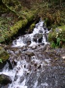 Waukeena Mult Falls 11.26.05 030 